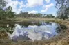 43 & 50 Kaliwa Road, Mingo, Qld 4625-Image
