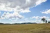 43 & 50 Kaliwa Road, Mingo, Qld 4625-Image