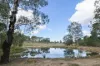 43 & 50 Kaliwa Road, Mingo, Qld 4625-Image