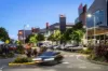 43 Ashford Road, Helensvale, Qld 4212-Image