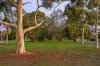43 Aumerle Way, Spearwood, WA 6163-Image