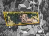 43 Balmoral Circuit, Sunbury, Vic 3429-Image