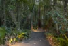 43 Bamboo Road, Palmwoods, Qld 4555-Image