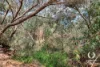 43 Begonia Close, Ferndale, WA 6148-Image