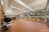 43 Chippindall Circuit, Theodore, ACT 2905-Image