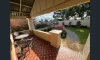 43 Collingrove Avenue, Broadview SA 5083-Image