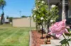 43 Congewai Street, Aberdare, NSW 2325-Image