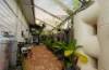 43 Coutts St, Goodna, Qld 4300-Image