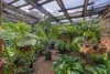 43 Craig Street, Richmond, SA 5033-Image