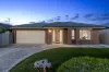 43 Digby Avenue, Belmont VIC 3216-Image