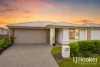 43 Dorrigo Street, Yarrabilba, Qld 4207