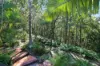 43 Elouera Drive, Ninderry, Qld 4561-Image