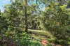 43 Elouera Drive, Ninderry, Qld 4561-Image