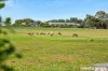 43 Evans Road, Murray Bridge East, SA 5253-Image