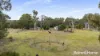 43 Flatrock Road, Mundamia, NSW 2540-Image