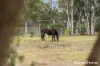 43 Flatrock Road, Mundamia, NSW 2540-Image