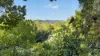43 Fosterton Road, Dungog, NSW 2420-Image