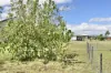 43 Gilbride Street, Nobby, Qld 4360-Image