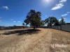 43 Gleno Street, Delungra, NSW 2403-Image