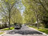 43 Goldsworthy Road, Claremont, WA 6010-Image