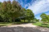 43 Gordon Street, Naracoorte, SA 5271-Image