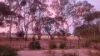 43 Harold Conkey Avenue, Cootamundra, NSW 2590-Image