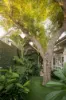 43 Hensman Road, Subiaco, WA 6008-Image