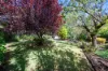 43 Hunter Street, Mildura, Vic 3500-Image