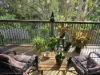 43 Jubilee Terrace, Ashgrove, Qld 4060-Image
