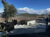 43 Karoola Road, Lindisfarne, Tas 7015-Image