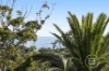 43 Koornalla Crescent, Mount Eliza, Vic 3930-Image