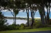 43 Lakeview Avenue, Merimbula, NSW 2548-Image