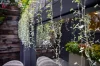 43 Marshall Street, Surry Hills, NSW 2010-Image