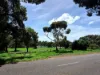 43 Murray Drive, Murray Bridge, SA 5253-Image