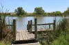 43 Murray Drive, Murray Bridge, SA 5253-Image