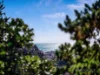43 Ogden Street, Acton, Tas 7320-Image