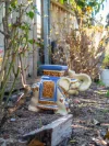 43 Ogden Street, Acton, Tas 7320-Image