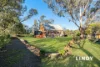 43 Pagan Street, Jerrys Plains, NSW 2330-Image
