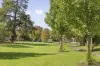 43 Pettys Lane, Doncaster, Vic 3108-Image
