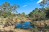 43 Raintree Avenue, Burrum Heads, Qld 4659-Image