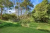 43 Redgrave Road, Normanhurst, NSW 2076-Image