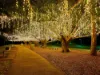 43 Rosina Street, Kangaroo Point, Qld 4169-Image