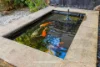 43 Solander Road, Kings Langley, NSW 2147-Image