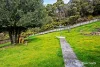 43 Solly Street, Zeehan, Tas 7469-Image