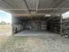 43 Stopford Street, Baralaba, Qld 4702-Image