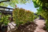 43 Tyson Street, Ainslie, ACT 2602-Image