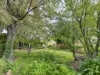 43 Wellesley Street, South Hobart, Tas 7004-Image