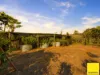 430 Cowley Beach Road, Lower Cowley, Qld 4871-Image