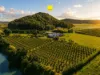 430 Cowley Beach Road, Lower Cowley, Qld 4871-Image