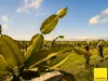430 Cowley Beach Road, Lower Cowley, Qld 4871-Image